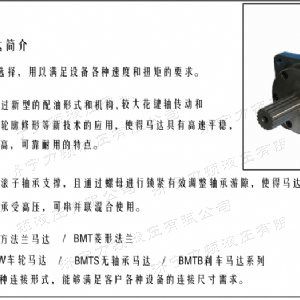 BMT車(chē)輪系列馬達(dá)