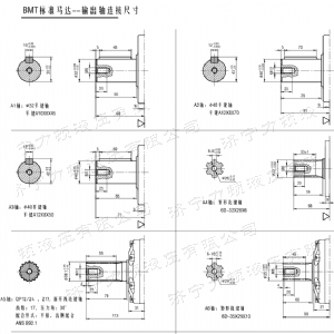 BMT車(chē)輪系列馬達(dá)