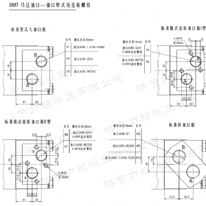 BMT車(chē)輪系列馬達(dá)